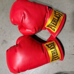 EVERLAST Youth S/M Laceless Heavy Bag Training Boxing Gloves like NEW